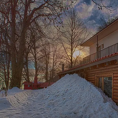 Manthos Hotel Chania (Thessaly)