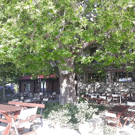 Manthos Mountain Resort & Spa 4* ハニア